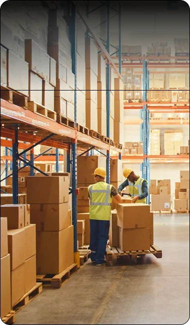  Packaging Services