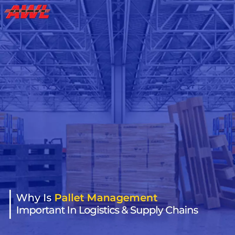 Why Is Pallet Management Important In Logistics & Supply Chains